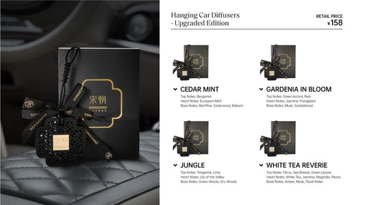 Hanging Car Diffusers - Upgraded Edition