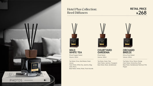 Hotel Plus Collection