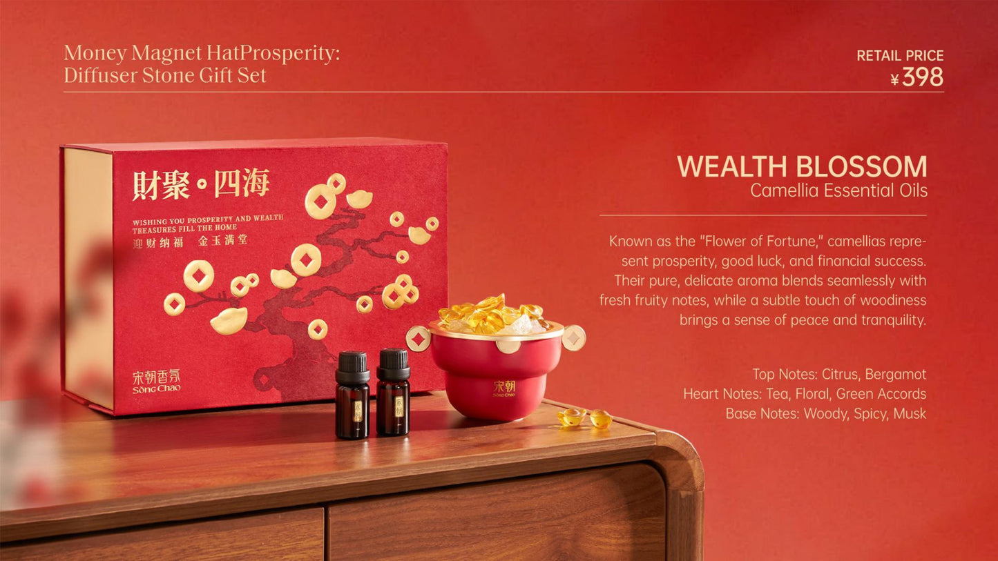 Money Magnet Hat Prosperity:Diffuser Stone Gift Set