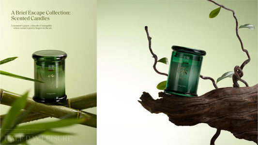 A Brief Escape Collection