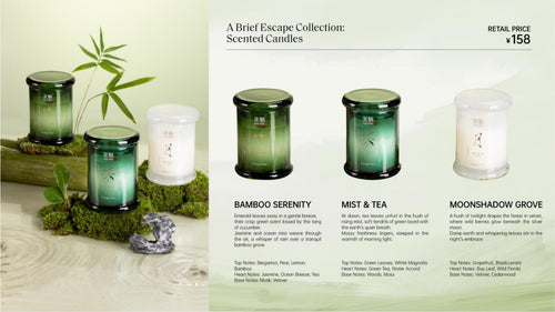 A Brief Escape Collection