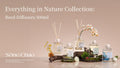 Everything in Nature Collection(500ml)