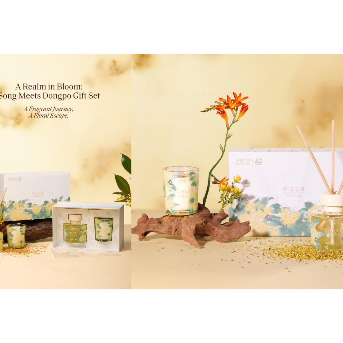 A Realm in Bloom:Song Meets Dongpo Gift Set