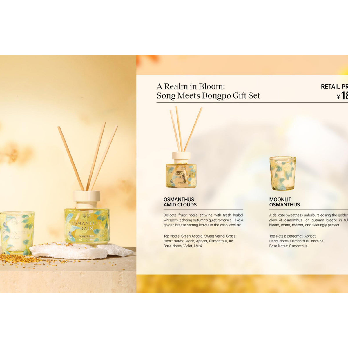 A Realm in Bloom:Song Meets Dongpo Gift Set