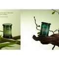 A Brief Escape Collection